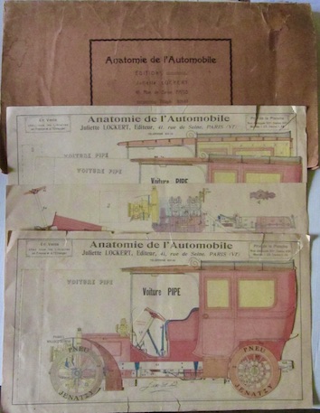 ANATOMIE